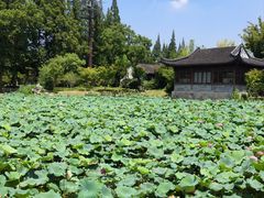 -金典银峰老鹅馆·昆山菜(亭林公园店)