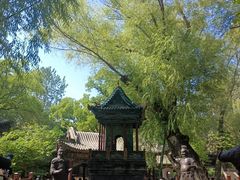 -晋祠公园
