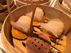 -金鼎轩(方庄天坛店)