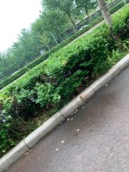 -HEYAN长风荷妍专业脱毛美肤
