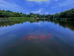 -前关湿地公园