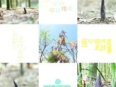 -荆川公园