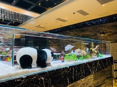 -红辣椒·川菜·火锅(大洋中心店)