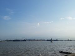 -海鸥岛