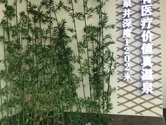 -英德宝晶宫天鹅湖茶语温泉