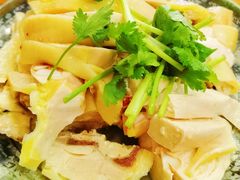 三黄鸡-九斤黄三黄鸡专卖店