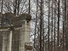 -音乐台
