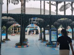 -海合安成都极地海洋公园