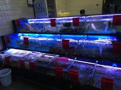 水产区-金海湾海鲜排档(朱家尖店)