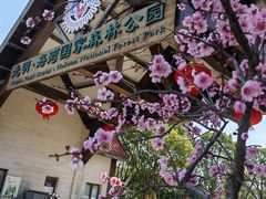 -上海海湾国家森林公园