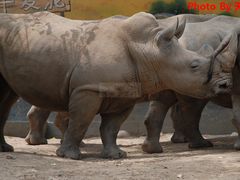-西安秦岭野生动物园
