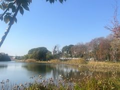 -新江湾城公园