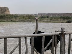 -水洞沟旅游区