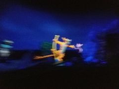 -小熊维尼历险之旅
