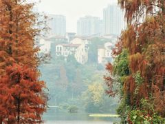-重庆彩云湖湿地公园
