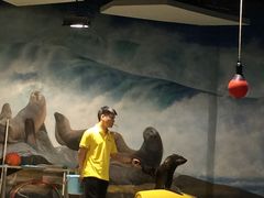-梦幻海洋王国(吾悦广场张家港店)