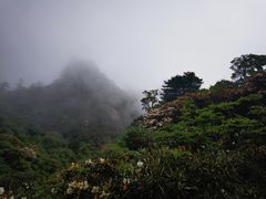 -三清山风景名胜区