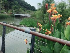 -飞凤山奥体公园