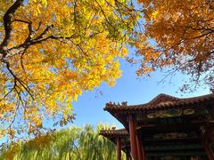 -南翠屏公园