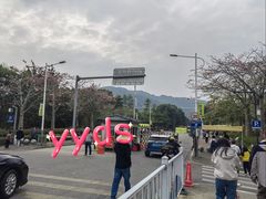 -风云岭森林公园