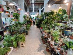 -双季花艺园艺市场(浦东店)