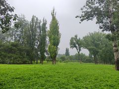 -国家植物园南园