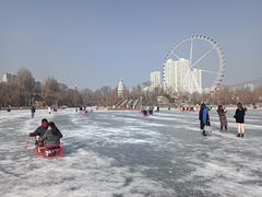 -西宁市人民公园(城西区)