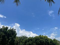 -深圳湾公园(南山区)