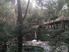-青城道汤池