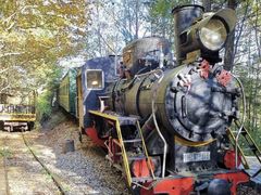 -五营红松林海景区