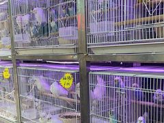 -宠爱我(南山店)