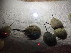 -泉城欧乐堡海洋极地世界