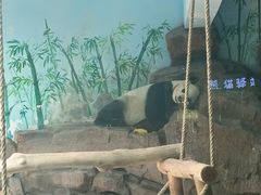 -济南野生动物世界