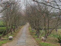 -凤凰沟景区