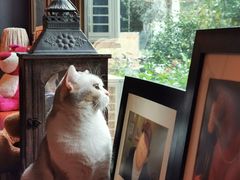 -咖法森林·咖啡  酒吧(天河店)