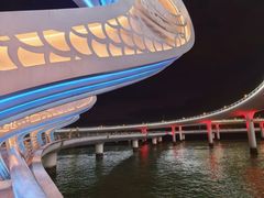 -演武大桥观景平台