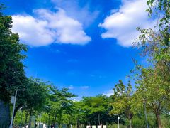 -海珠儿童公园