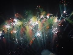 -花博汇(知音花月夜)