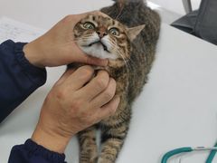 -良伴无忧宠物医院(泰欣嘉园店)