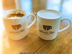 -喜马拉雅森HIMALAYAN FOREST