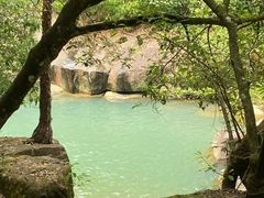 -广州白江湖森林公园