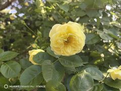 -国家植物园