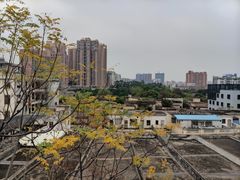 -佛山华盖山公园