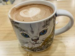 -飞行喵MR PILOT|猫舍·猫咖(静安大融城店)