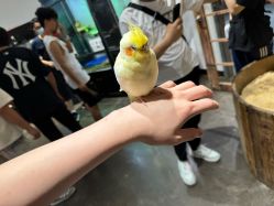 -Zoolung Zoolung动物主题公园(海信广场店)