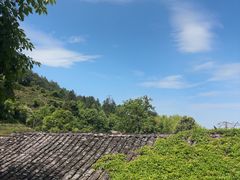 -杨家堂村