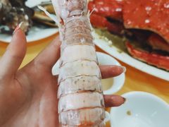 -蚝专家(北滘店)