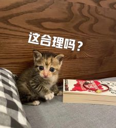 -東田造型