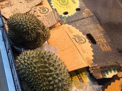 -泉州海丝野生动物世界