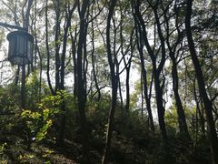 -苏州上方山国家森林公园